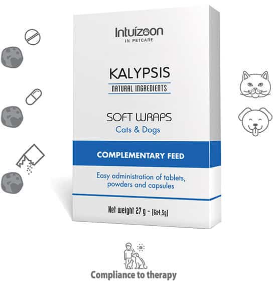 KALYPSIS